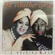 Płyta kompaktowa The Weather Girls It's Raining Men CD