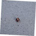 Anneome koraliki kostki z literkami A–Z, 600 szt. – akrylowe kostki 6 x 6 mm