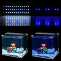 Belka oświetleniowa lampa do akwarium 30-50cm 36 LED nowej generacji widok akwarium