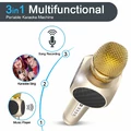 Bezprzewodowy mikrofon do karaoke ERAY E103 Bluetooth widok funkcji