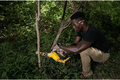 DeWALT DCMPS520N-XJ 18V XR – akumulatorowa piła do gałęzi 20 cm (bez akumulatora) – zdjęcie 6