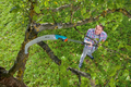 Gardena combisystem 300 PP - piła ogrodowa do gałęzi, 315 mm – zdjęcie 8