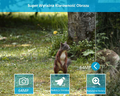 GardePro E5S 64 MP 1296p - fotopułapka z noktowizorem, moro – zdjęcie 3