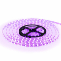 Kolorowa taśma LED Albrillo LL-ST4 150 led RGB widok koloru różowego