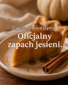 M&SENSE świeca zapachowa cynamon 330 g – wosk sojowy, 2 knoty