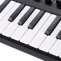 Przenośne kompaktowe pianino Worlde Panda 25 USB widok klawiszy