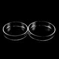QWORK Szalki Petriego szklane z pokrywka 90x20 mm, 5 szt. – zdjęcie 6