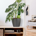Relaxdays nawadniacz ceramiczny 4 szt. - stożki do podlewania roślin – zdjęcie 2