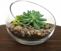 RETNE zestaw startowy las w słoiku – podłoże, drenaż i kamyki do terrarium