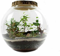 RETNE zestaw startowy las w słoiku – podłoże, drenaż i kamyki do terrarium