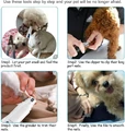 Szlifierka do pazurów dla psów AMIR widok instrukcji obsługi