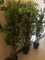 Sztuczna roślina w doniczce bambus 120 cm. widok w pokoju