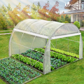 Vounot Szklarnia foliowa 3x3x2 m, 9 m², biała, ze zwijanymi ścianami – zdjęcie 3