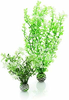 biOrb 46067 – zestaw 2 sztucznych roślin do akwarium, zimowe kwiaty