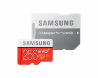 Karta pamięci microSD Samsung Evo Plus 256GB 100MB widok z przodu