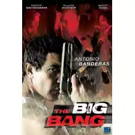 Płyta kompaktowa film The Big Bang 2011 DVD widok z przodu.