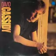 Płyta kompaktowa muzyka David Cassidy - Lyin' To Myself CD widok z przodu.