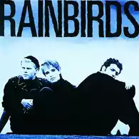 Płyta kompaktowa muzyka Rainbirds CD widok z przodu.