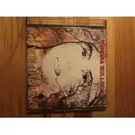 Płyta kompaktowa Sandra Bullock Die Vorahnung CD widok z przodu.