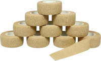 QiGui plaster samoprzylepny elastyczny 2,5 cm x 4,5 m, zestaw 10 rolek
