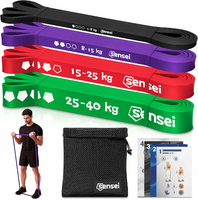 Sensei Zestaw 4 Taśm Oporowych – opór 1-40 kg, worek, plan treningowy