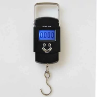 Waga hakowa wędkarska bagażowa podróżna LCD 50 kg widok z przodu