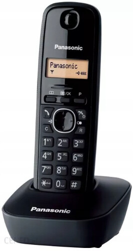 Bezprzewodowy telefon stacjonarny Panasonic KX-TGA161EX czarny widok z przodu