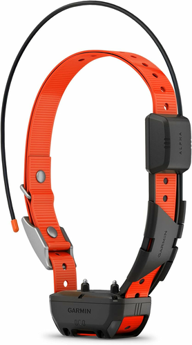 Garmin Alpha TT 25 – obroża GPS do śledzenia i treningu psów