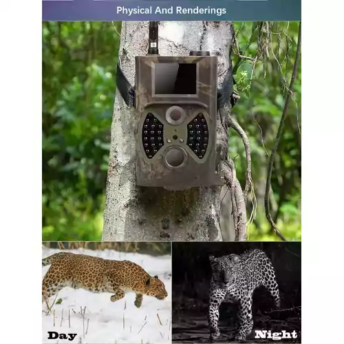 Kamera leśna GSM fotopułapka HC-300M widok w lesie