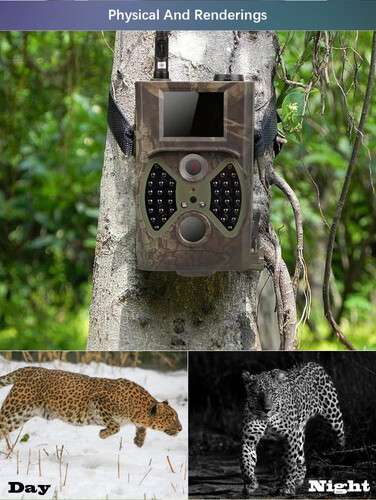 Kamera leśna GSM fotopułapka HC-350M widok w lesie