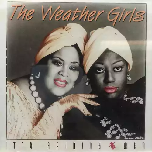 Płyta kompaktowa The Weather Girls It's Raining Men CD widok z przodu.
